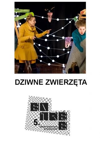 DZIWNE ZWIERZĘTA