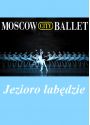 Plakat - Jezioro Łabędzie